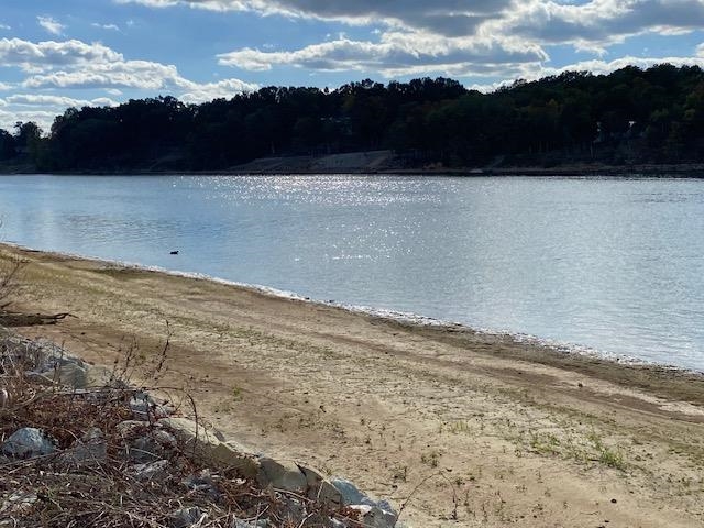 1929 Hardin Bottom River Road Clifton, TN 38425 - Photo 5 of 18 a view of lake and mountain