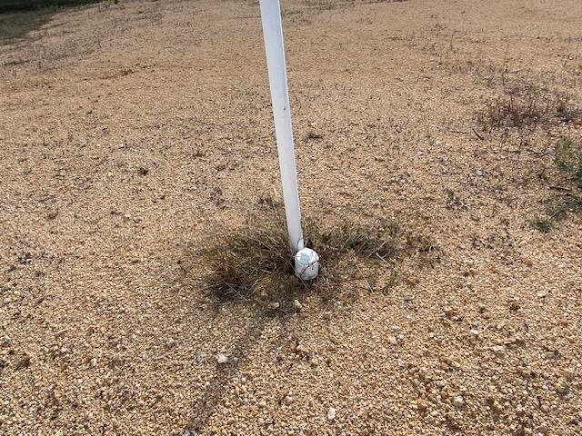 1929 Hardin Bottom River Road Clifton, TN 38425 - Photo 9 of 18