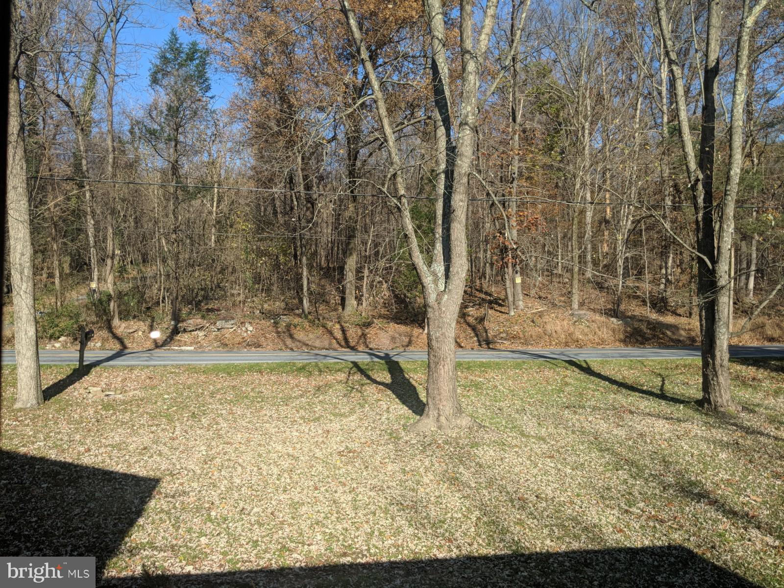 9377 Mountain Road Grantville, PA 17028 - Photo 21 of 38 View from living room window