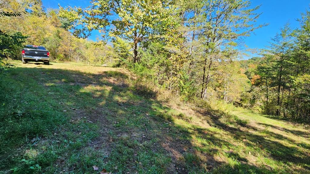 0 Reagan Branch Road Seymour, TN 37865 - Photo 24 of 31