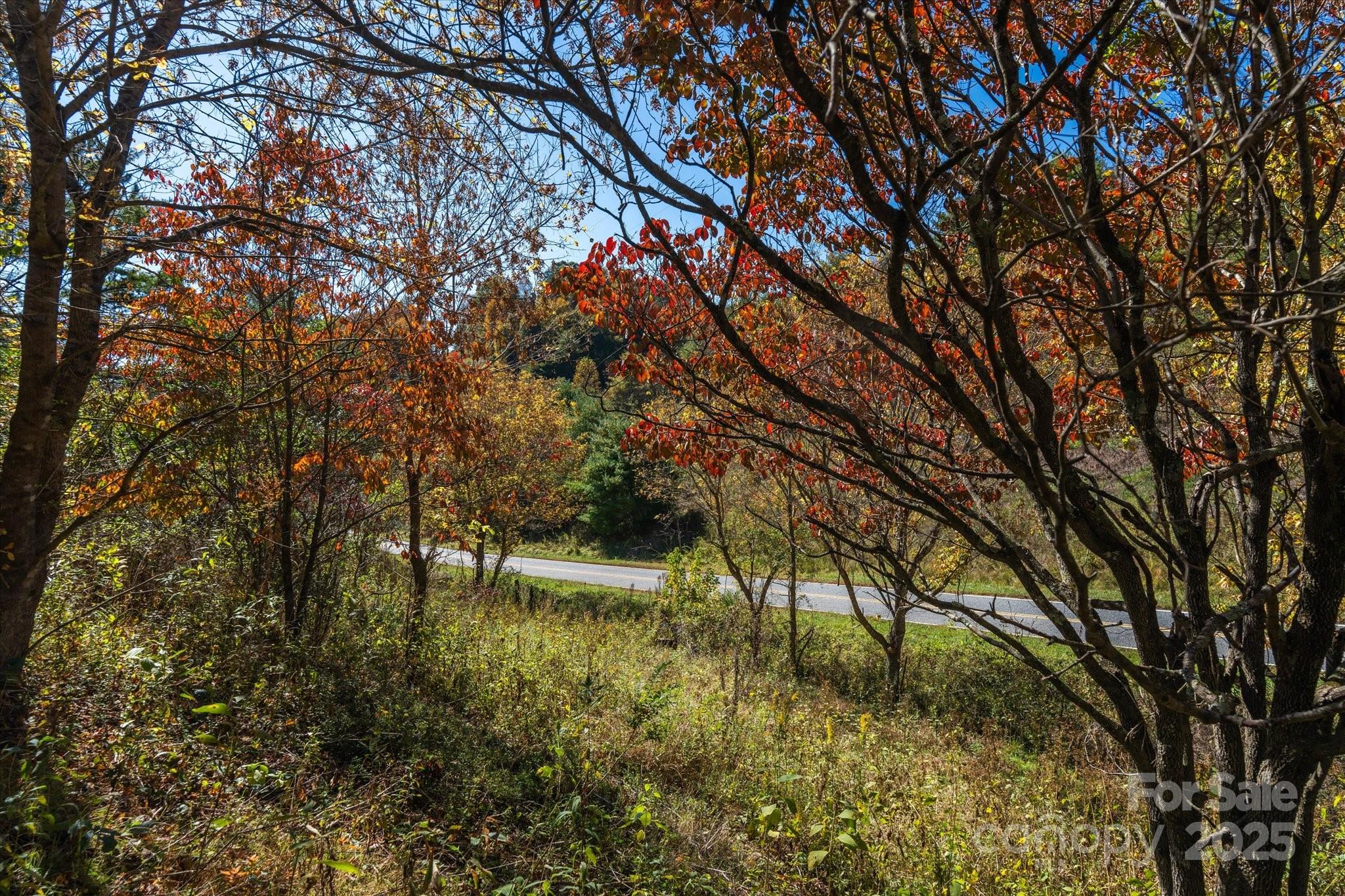 Tbd Sweet Water Road Marshall, NC 28753 - Photo 1 of 15 a view of a yard