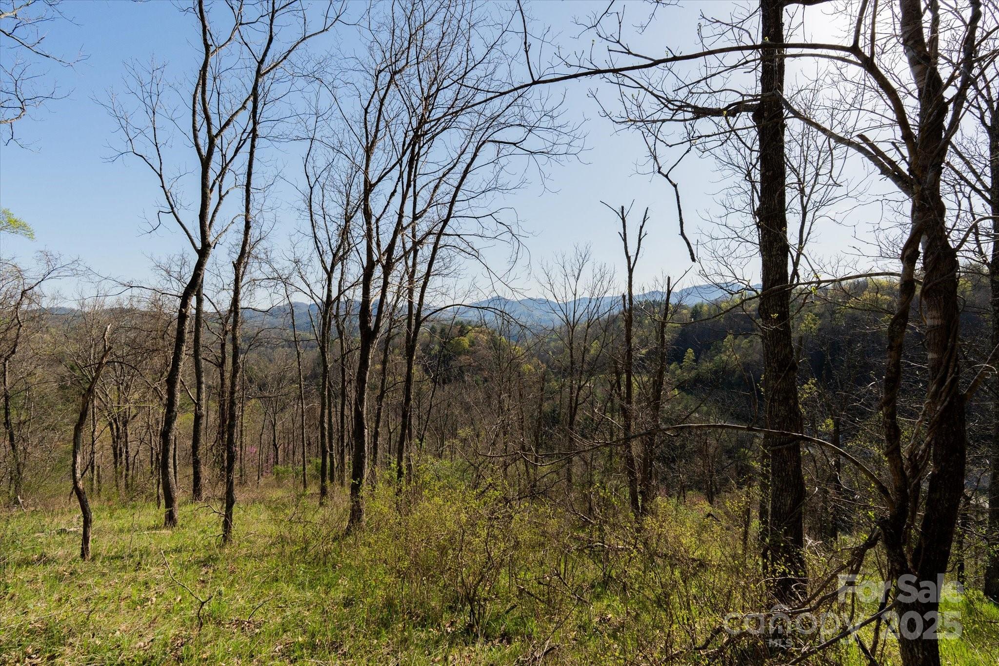 Tbd Sweet Water Road Marshall, NC 28753 - Photo 12 of 15 a view of yard