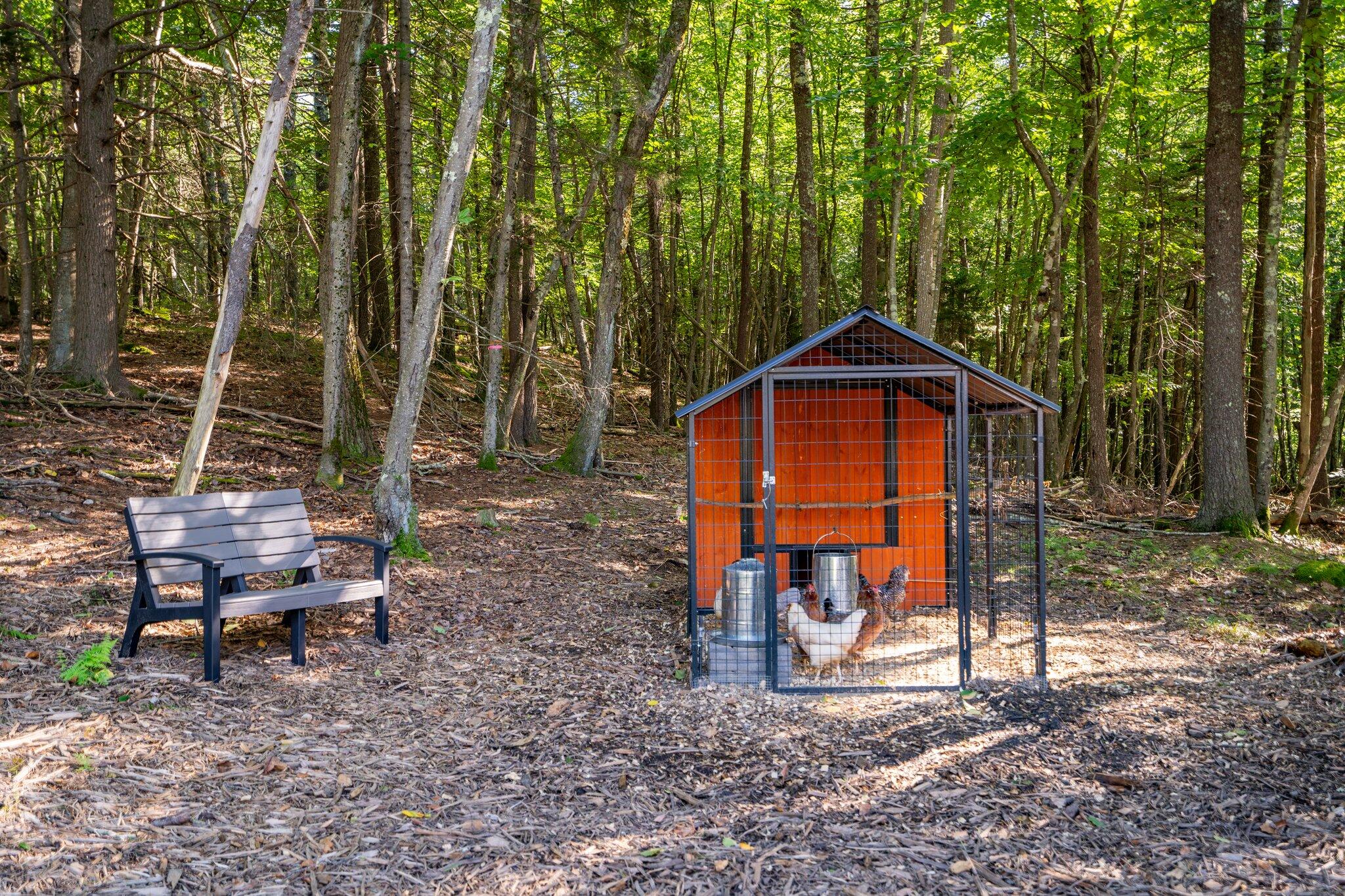 51 Pine Hill Road York, ME 03902 - Photo 49 of 53 95-web-or-mls-DSC03323