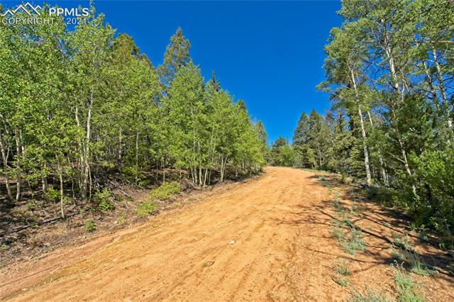 92 Old Squaw Road Como, CO 80432 - Photo 7 of 49 Gallery Image 7