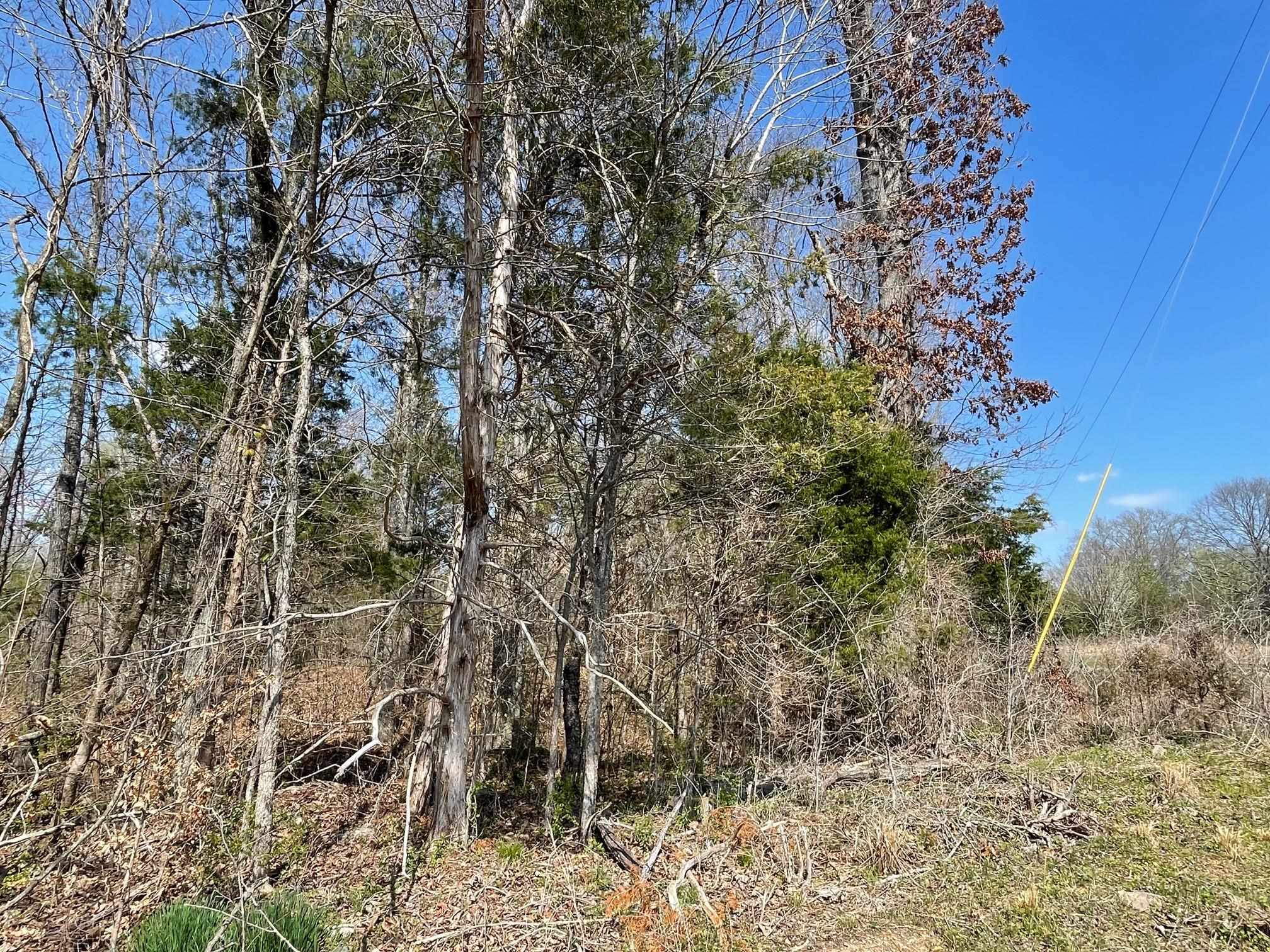 Delaney Loop Adamsville, TN 38310 - Photo 2 of 10 a view of a yard