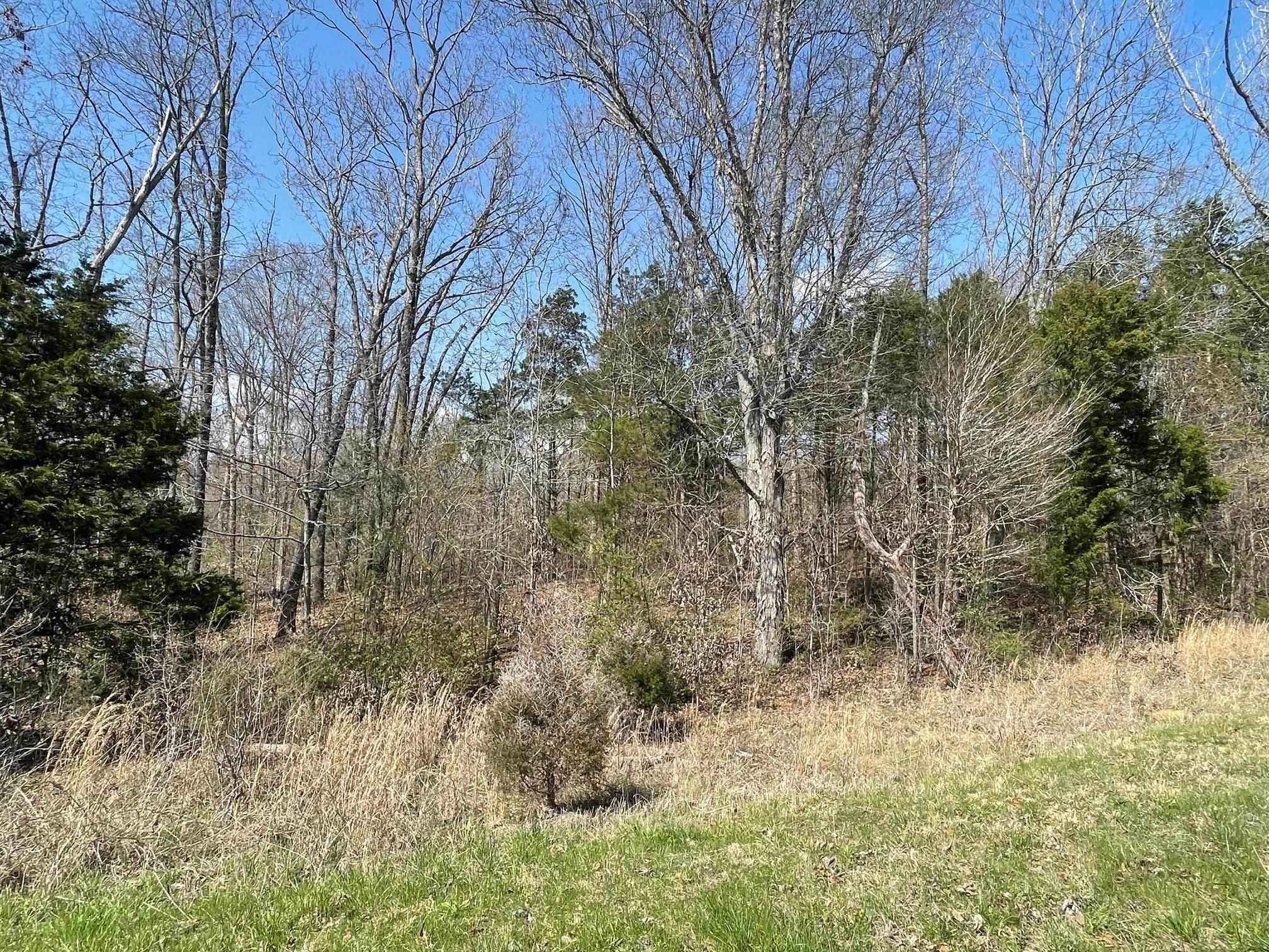 Delaney Loop Adamsville, TN 38310 - Photo 3 of 10 a view of a yard