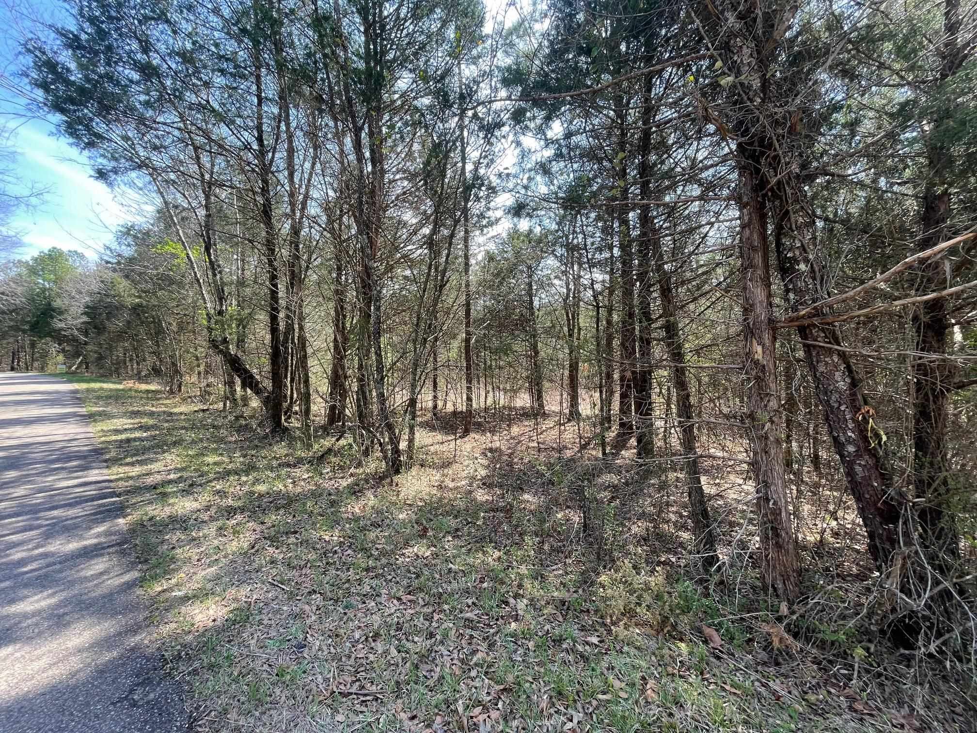 Delaney Loop Adamsville, TN 38310 - Photo 9 of 10 a view of outdoor space and trees