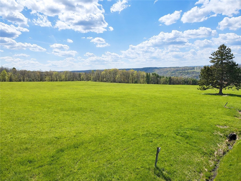 0 Sisson Road Penn Yan, NY 14527 - Photo 20 of 23