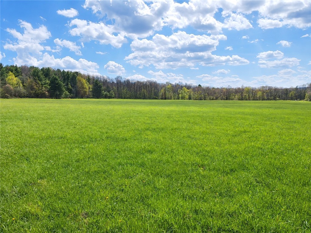 0 Sisson Road Penn Yan, NY 14527 - Photo 23 of 23
