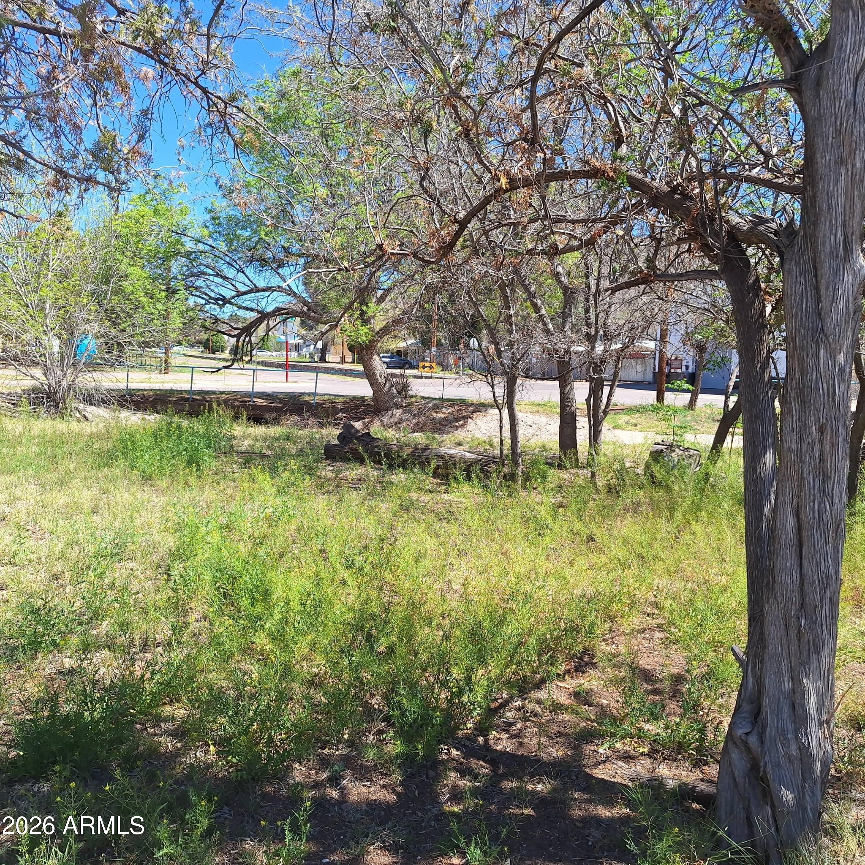 3 Arizona Street Bisbee, AZ 85603 - Photo 21 of 21 657271637_26592974953670456_688929564975