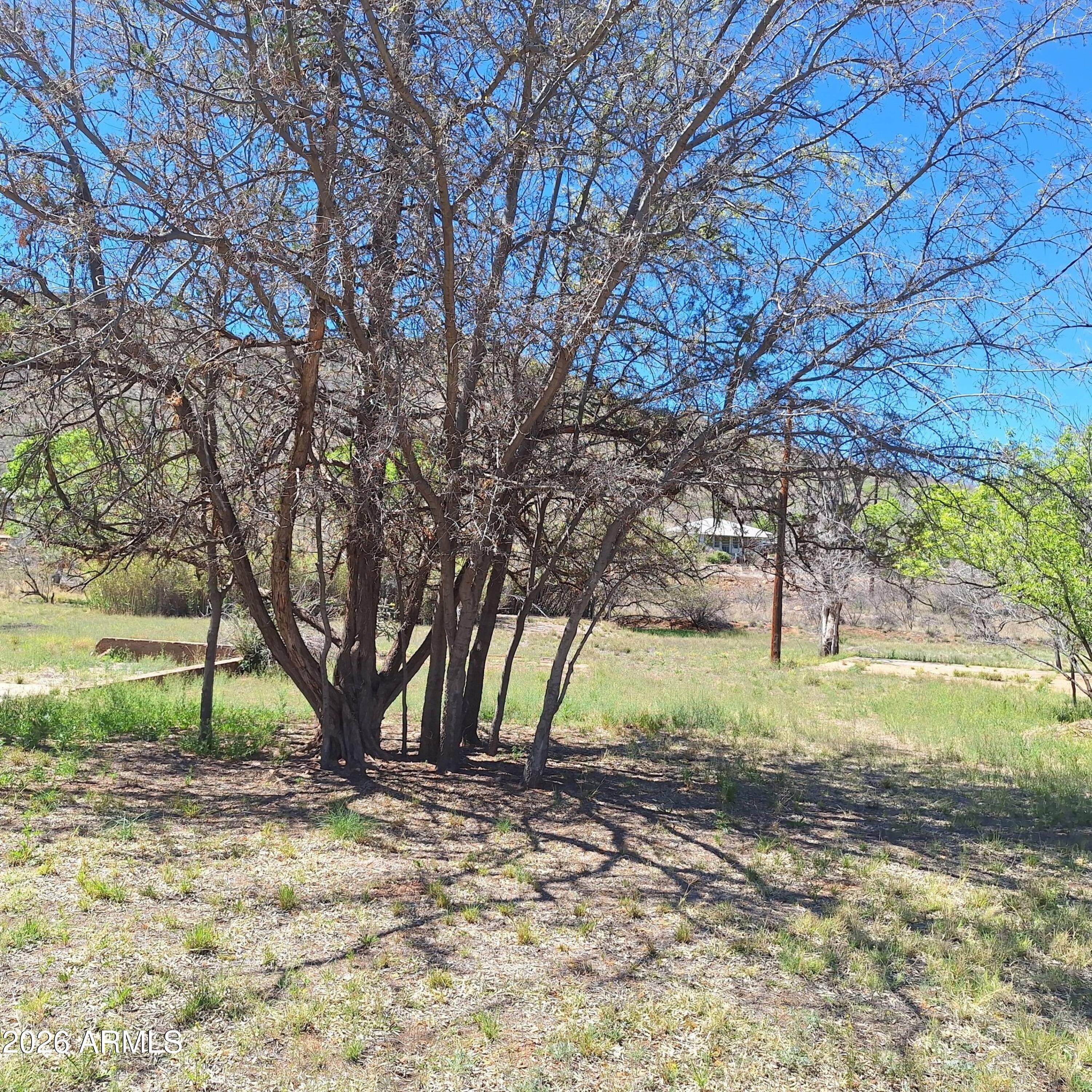 3 Arizona Street Bisbee, AZ 85603 - Photo 10 of 21 653406072_26592977447003540_409304452195