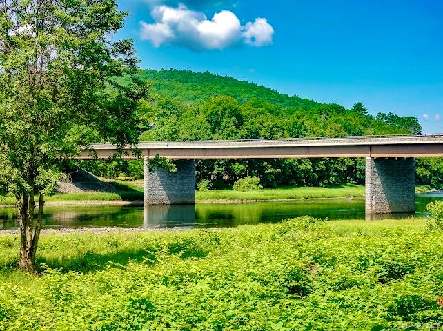 4 Tow Path Road Barryville, NY 12719 - Photo 3 of 18