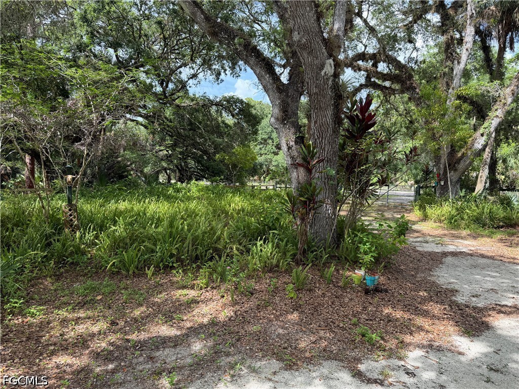 18251 Persimmon Ridge Road Alva, FL 33920 - Photo 8 of 16