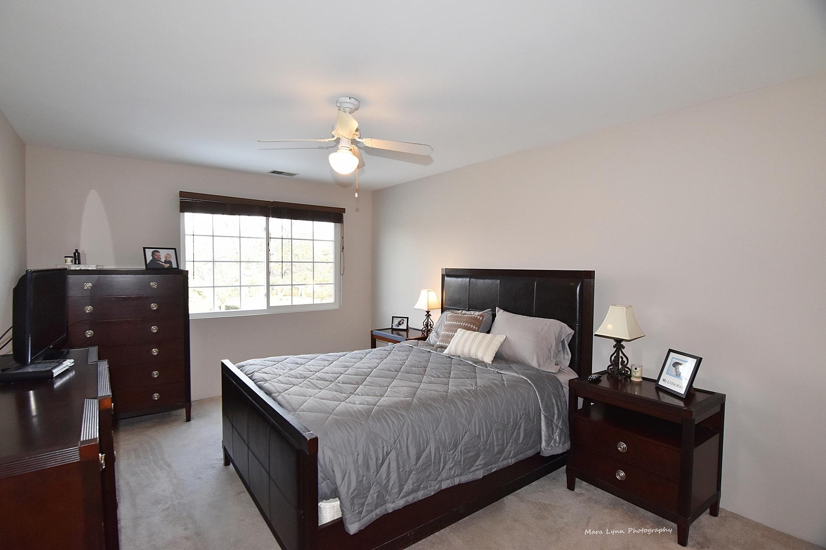 1484 Normantown Road Naperville, IL 60564 - Photo 10 of 19