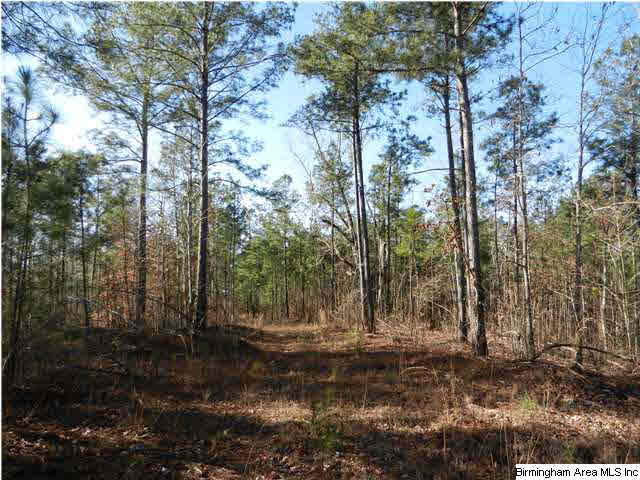 Creek Road, Unit 150AC Alexander City, AL 35010 - Photo 1 of 3
