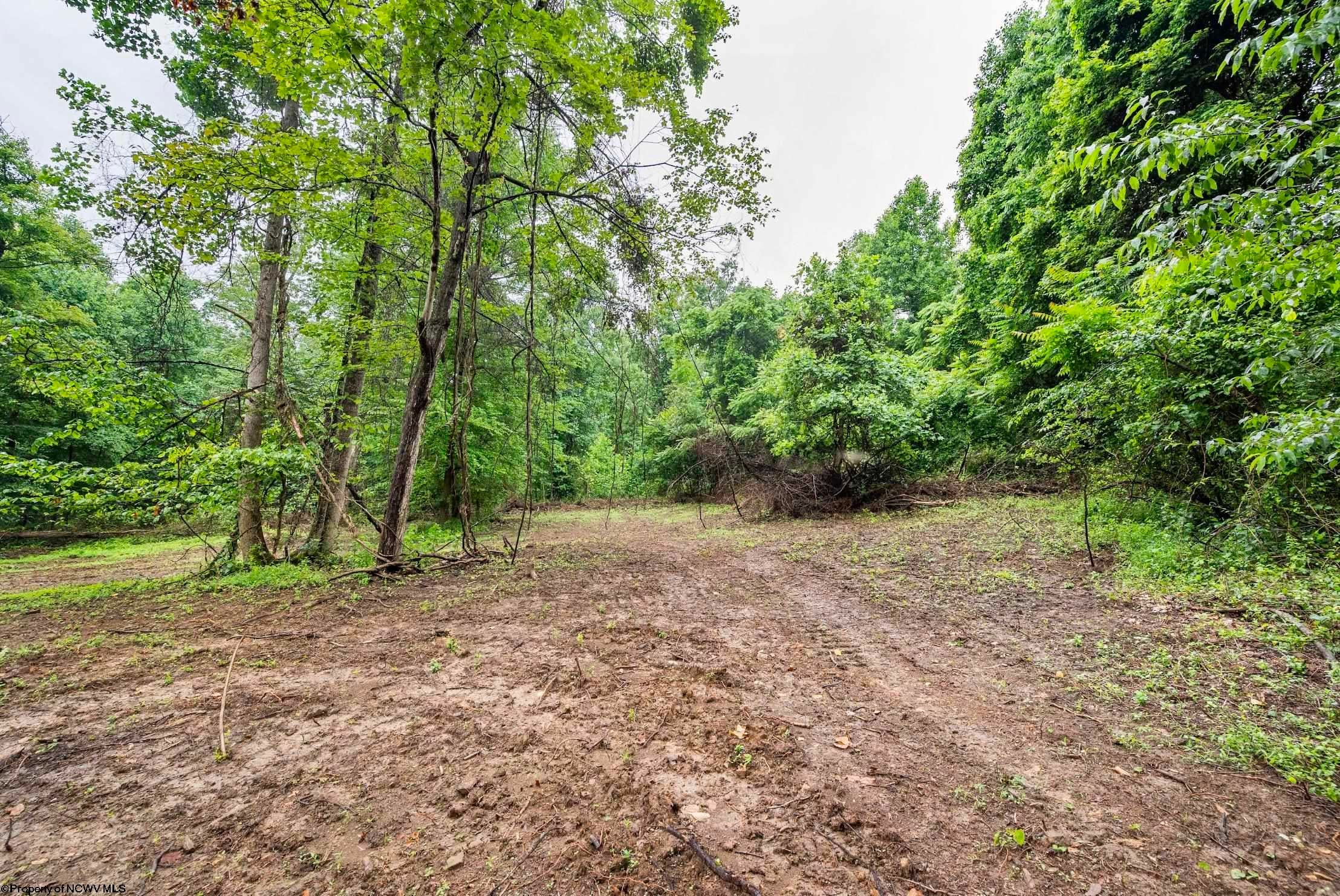 Lot 7 Burnt Cabin Road Fairmont, WV 26554 - Photo 10 of 16 Gallery Image 10