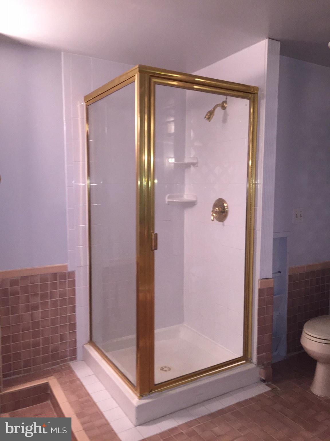 5205 Pumphrey Drive Fairfax, VA 22032 - Photo 17 of 29 Master Bath