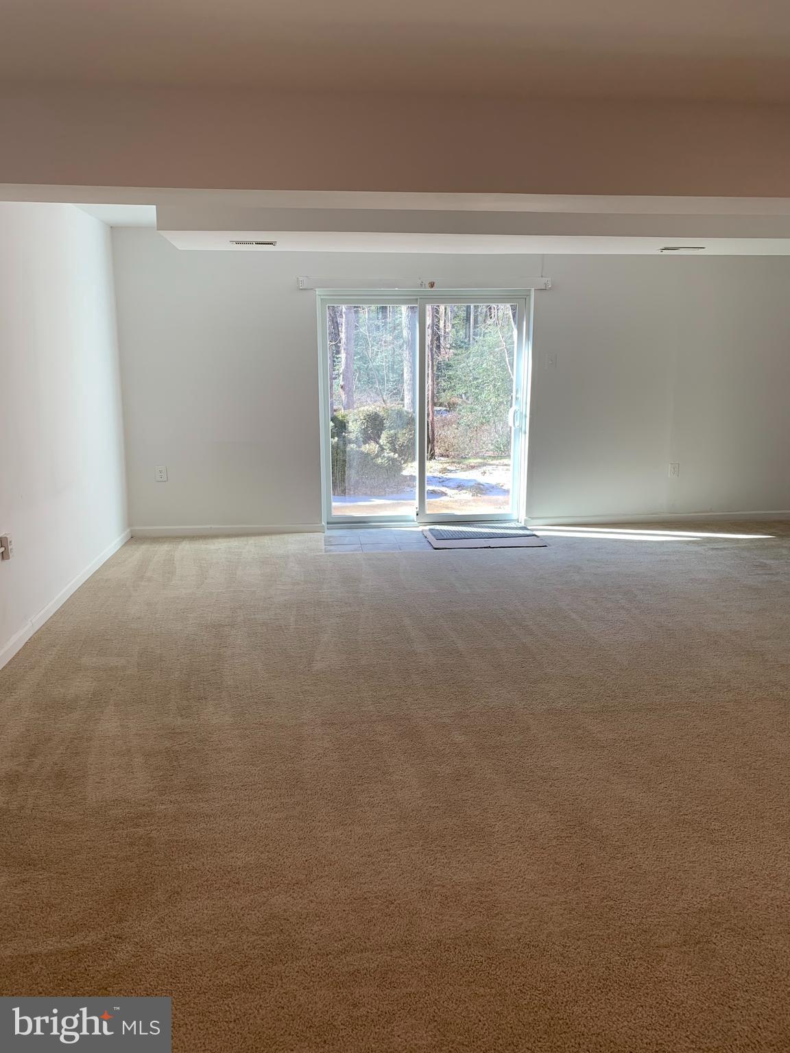 5205 Pumphrey Drive Fairfax, VA 22032 - Photo 24 of 29 Rec Room