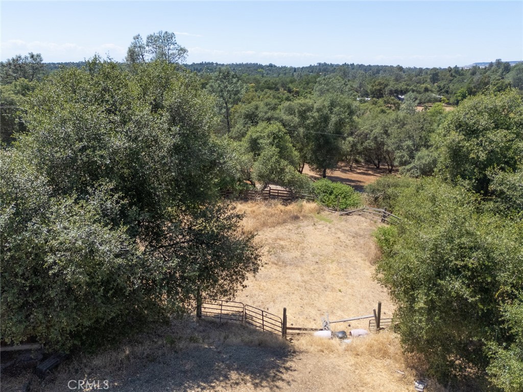 391 Mt Ida Road Oroville, CA 95966 - Photo 15 of 65