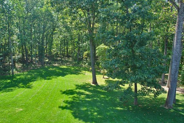 310 Sowder Farm Road Troutville, VA 24175 - Photo 56 of 60 Yard