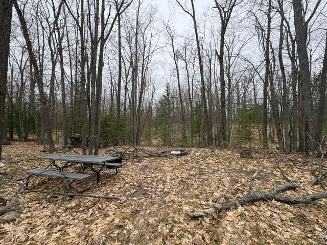 15.64-ac Cedar Run Road Mio, MI 48647 - Photo 8 of 14 IMG_0324