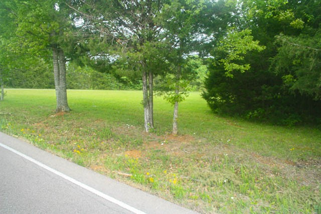 4793 Joe Peay Road Spring Hill, TN 37174 - Photo 5 of 22 Gallery Image 5