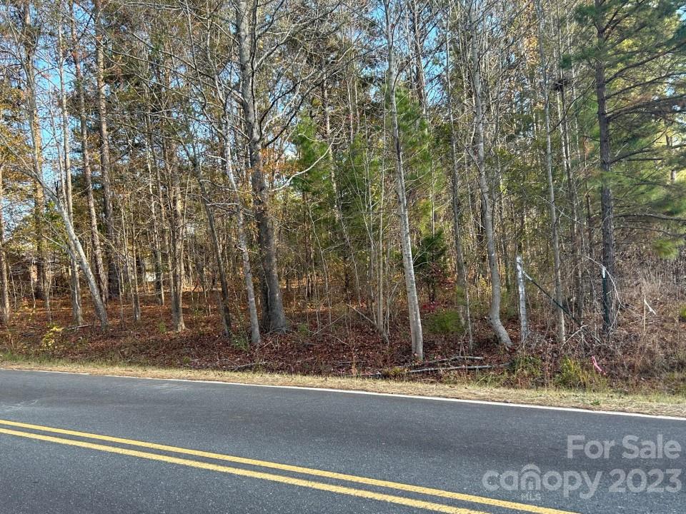0 Rutledge Drive Catawba, SC 29704 - Photo 2 of 9 a view of a house with a yard and trees