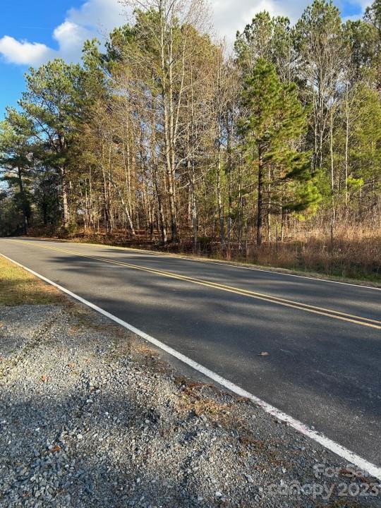 0 Rutledge Drive Catawba, SC 29704 - Photo 3 of 9 a view of a yard and basketball on a road