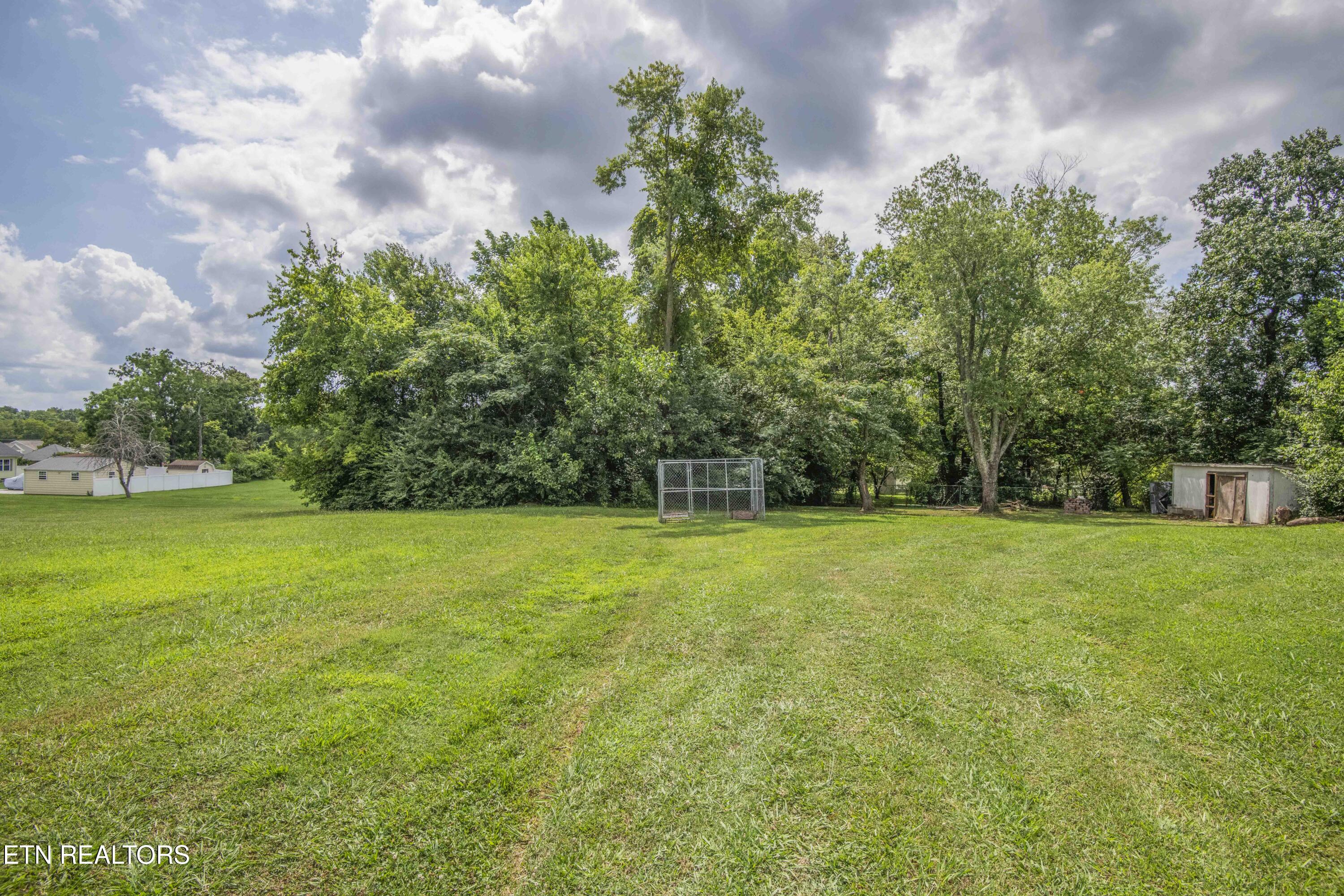 8532 Three Points Road Knoxville, TN 37924 - Photo 26 of 28 yard 1_1