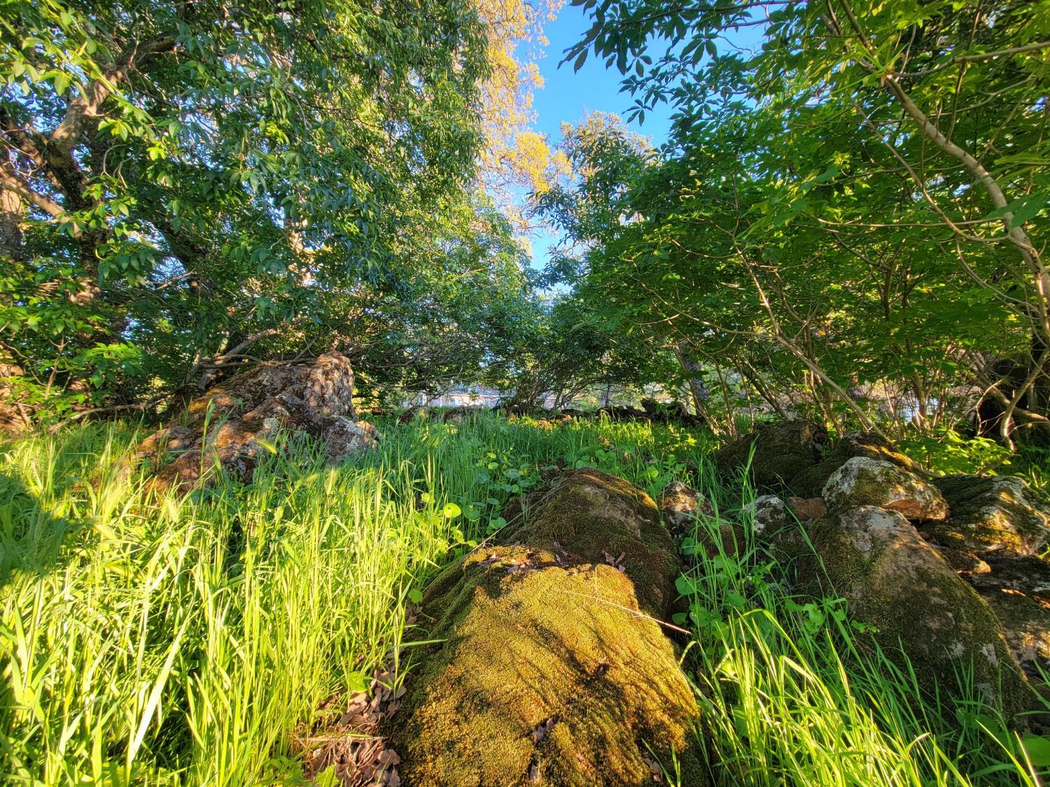 19890 Perimeter Road Grass Valley, CA 95949 - Photo 76 of 95
