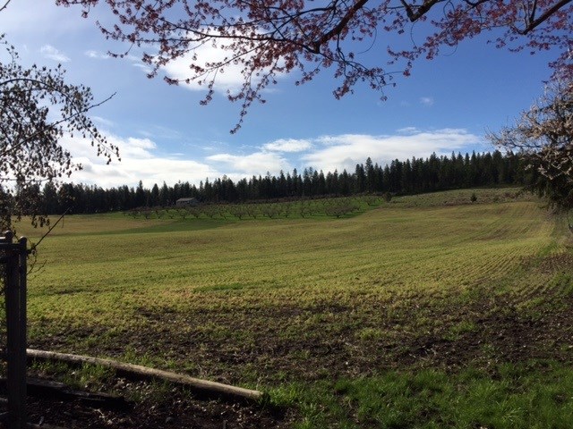 7304 East Bigelow Gulch Road Spokane, WA 99217 - Photo 20 of 20 Gallery Image 20