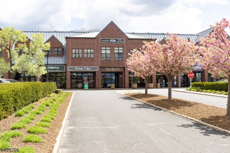90 Mayfield Road, Unit 90 Bedminster, NJ 07921 - Photo 37 of 38 a front view of a building with a garden and plants