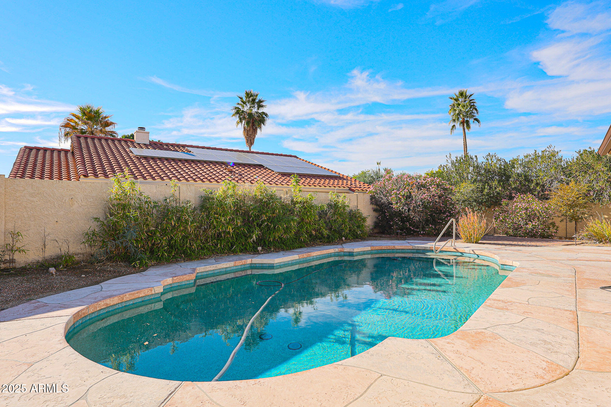 2101 East Redfield Road Phoenix, AZ 85022 - Photo 36 of 43 Sparkling Pool