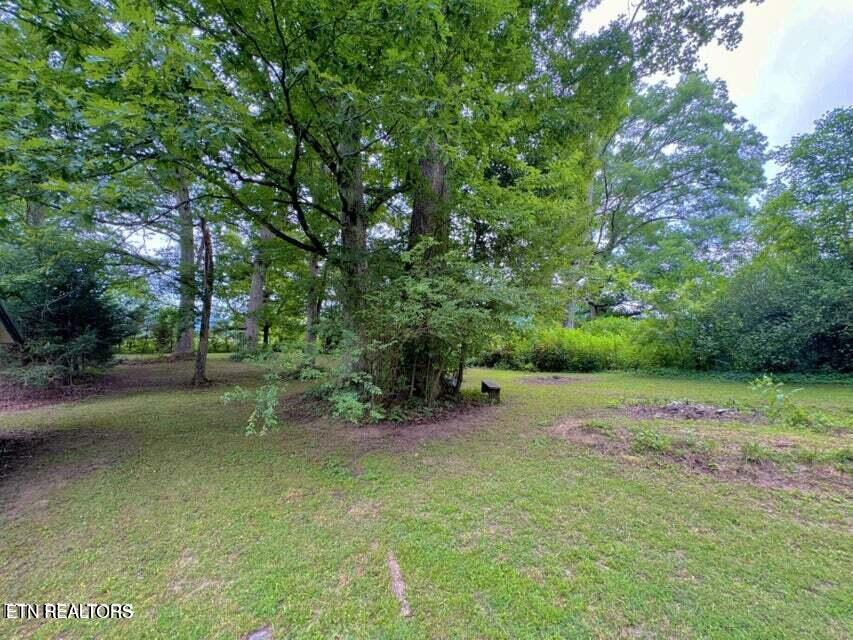 213 Tom Henry Road Townsend, TN 37882 - Photo 22 of 36 20240821141555643061000000-o