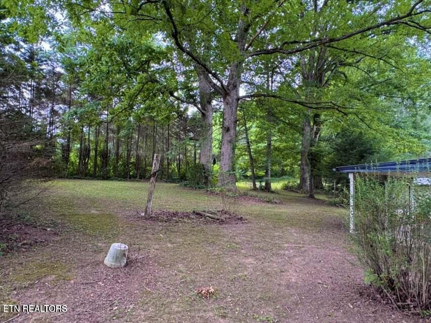 213 Tom Henry Road Townsend, TN 37882 - Photo 6 of 36 20240821141617319842000000-o