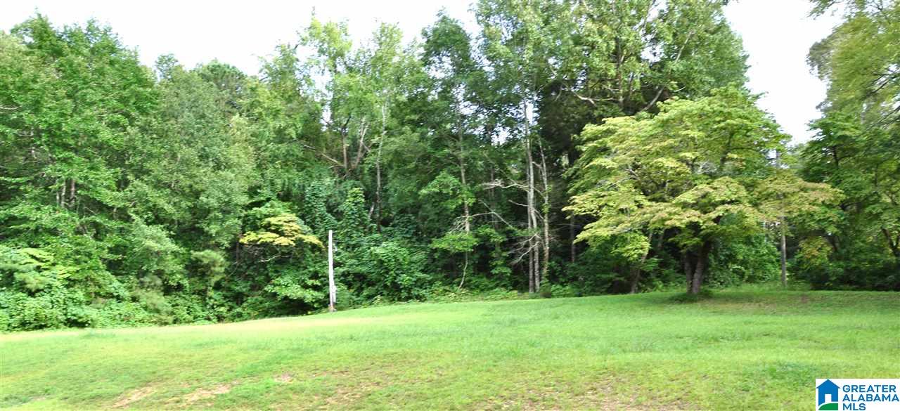 27 Lk Rdg Lane, Unit 2 AND PART OF 1 LOT 1 WIL Talladega, AL 35160 - Photo 5 of 5