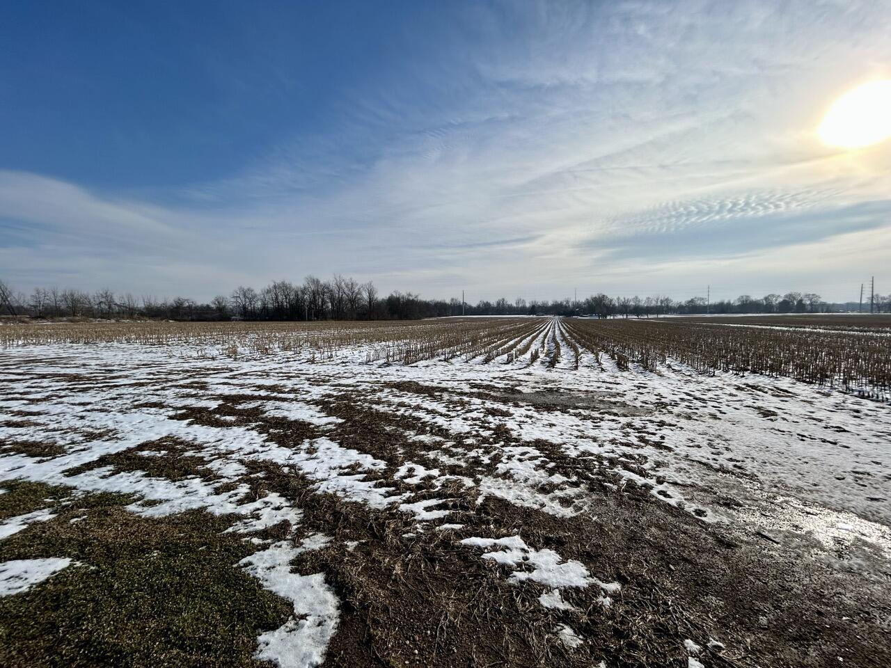 Vl Lima Road White Pigeon, MI 49099 - Photo 13 of 25 IMG_8092 Large