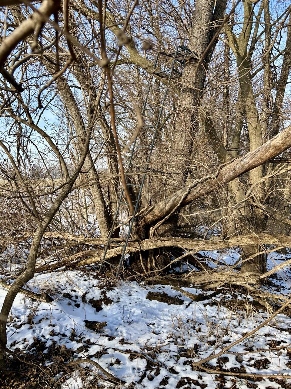 Vl Lima Road White Pigeon, MI 49099 - Photo 20 of 25 IMG_8100 Large