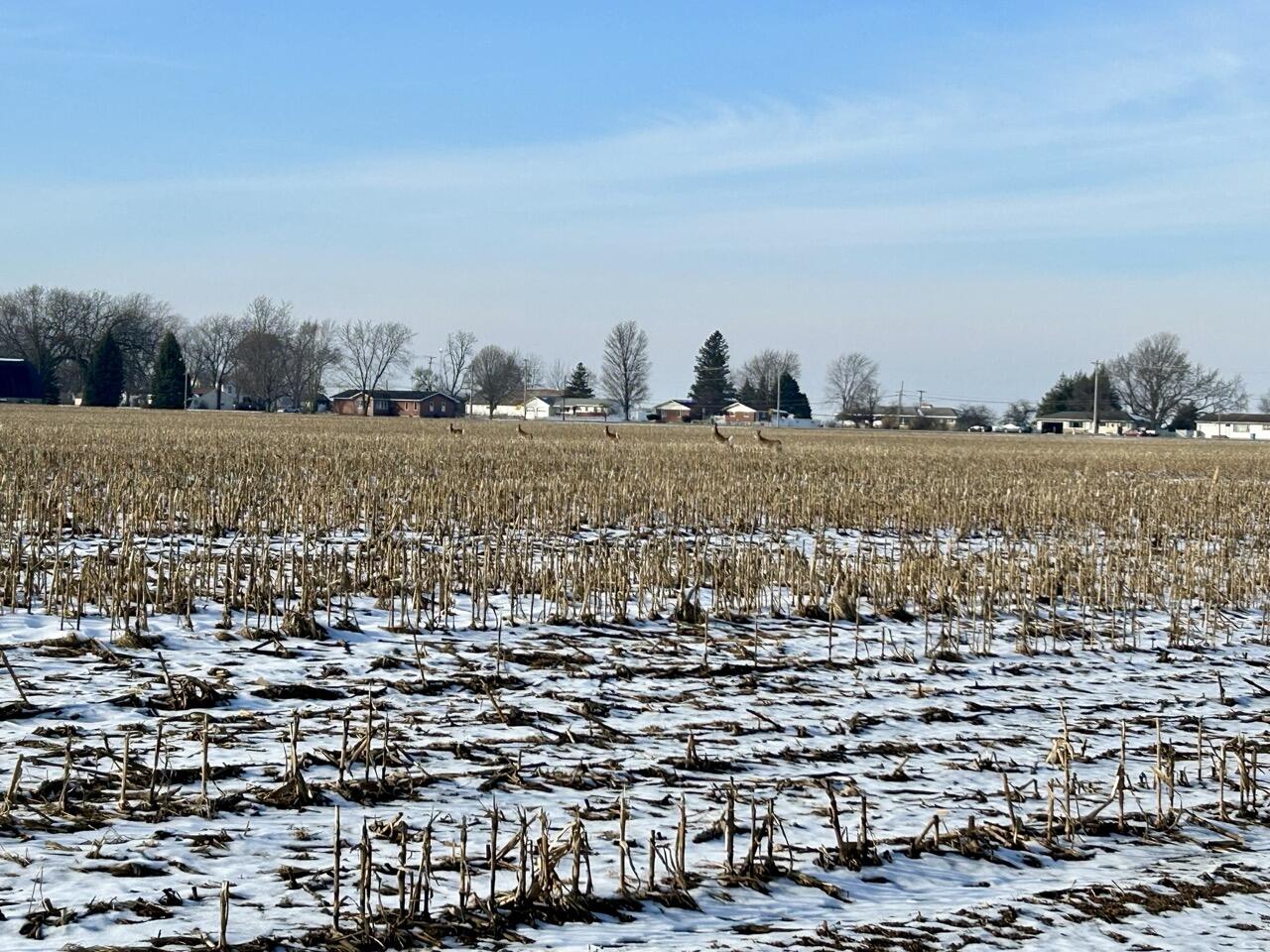Vl Lima Road White Pigeon, MI 49099 - Photo 21 of 25 IMG_8102 Large