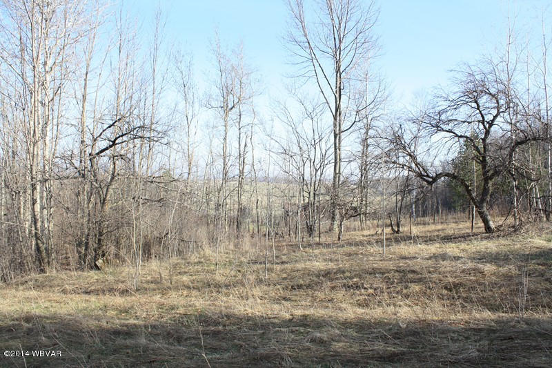 0 Welch Mountain Road Covington, PA 16917 - Photo 23 of 25 125326-23