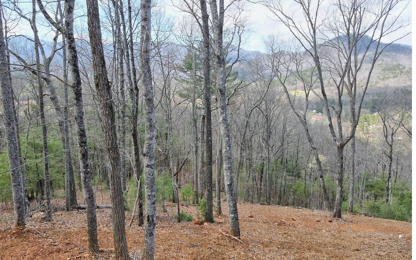 3 42 Ac The Preserve Hiawassee Ga  