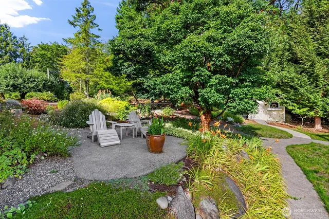 a view of a garden with potted plants