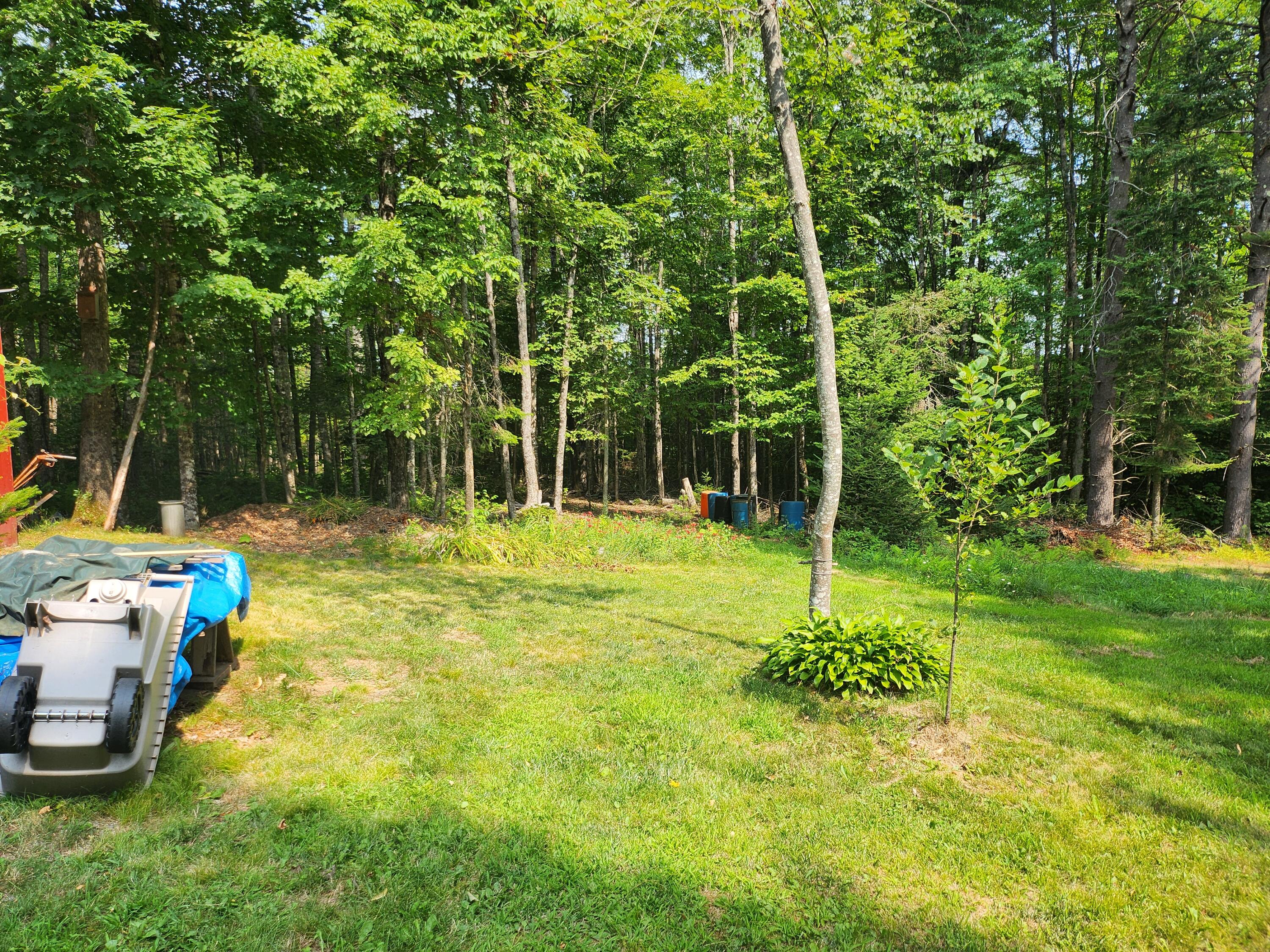 431 Huff Hill Road Hartland, ME 04943 - Photo 6 of 23 20250805_104032