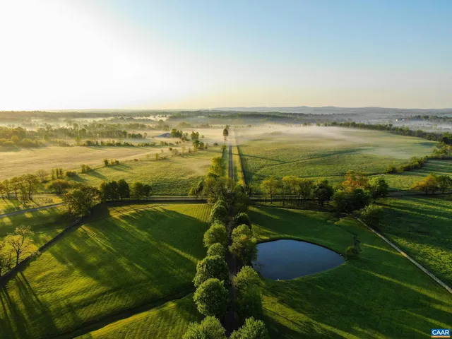a view of an ocean from a yard