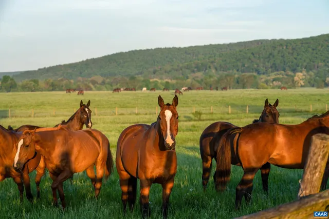 a view of an ocean and beach