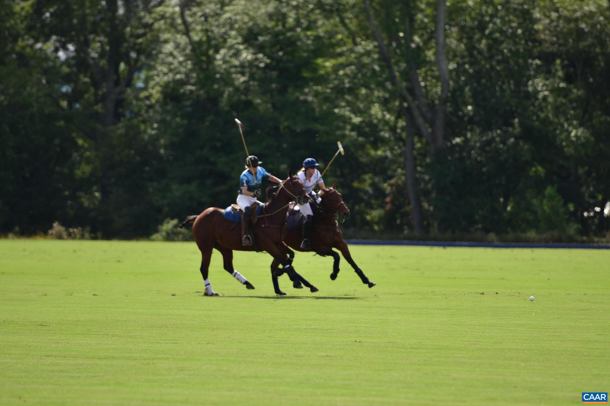 21515 Trappe Road Upperville, VA 20184 - Photo 55 of 75