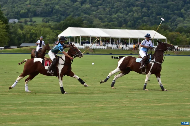 $25,000,000 | 21515 Trappe Road, Upperville, VA 20184