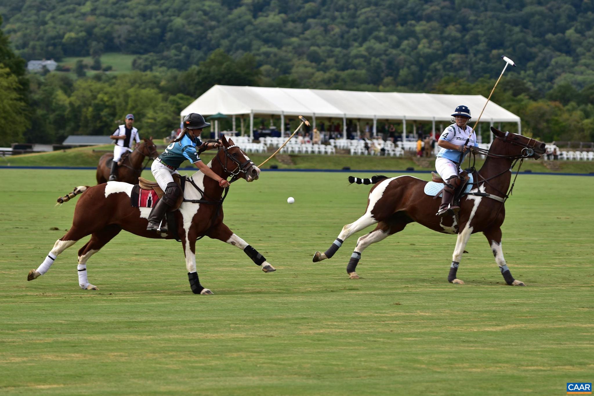 21515 Trappe Road Upperville, VA 20184 - Photo 56 of 75 a view of a park with furniture