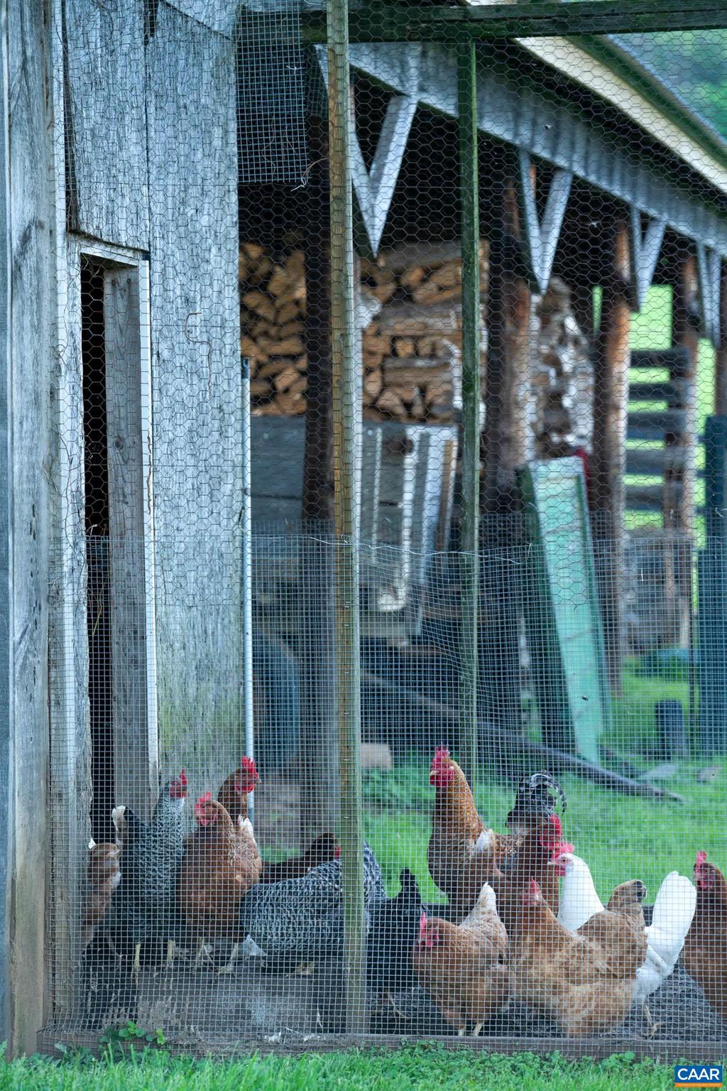 21515 Trappe Road Upperville, VA 20184 - Photo 61 of 75