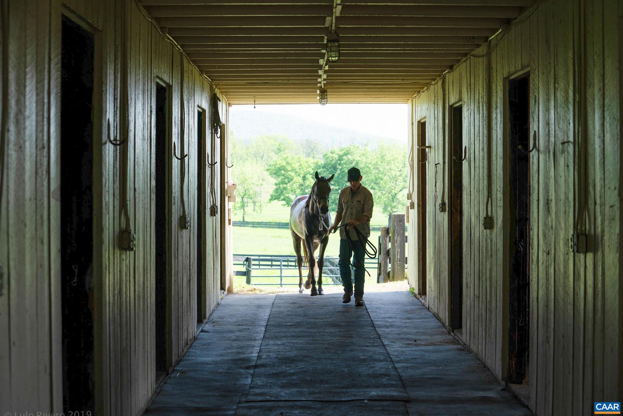 21515 Trappe Road Upperville, VA 20184 - Photo 63 of 75